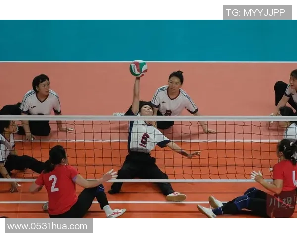 深圳排球队的耐力之道：揭秘排球背后的坚持与奋斗精神